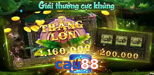 cau88